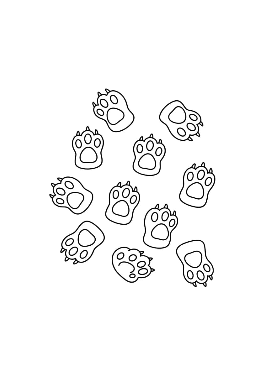 Várias patas de coelhos com cerca de 5cm.