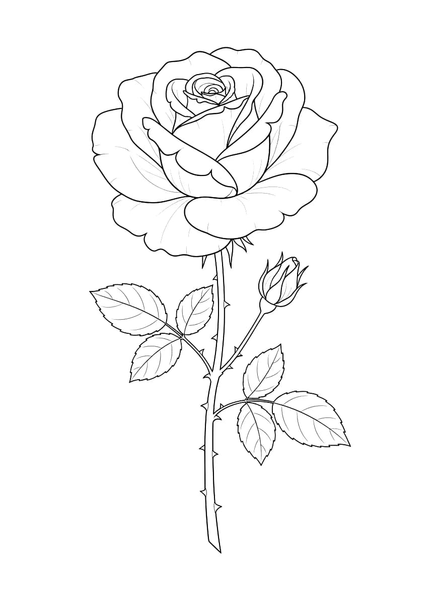 A hyperrealistic rose.