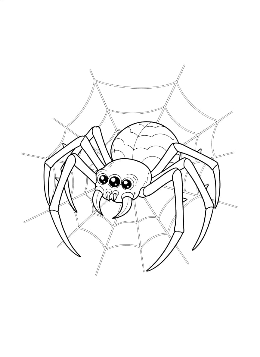 A scary spider.