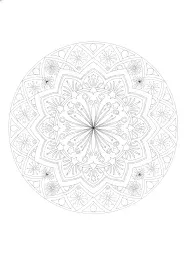 Voici un mandala circulaire avec des motifs de feux d'artifice.
